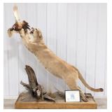 Full Body Pouncing Cougar Mountain Lion w/ Pheasan