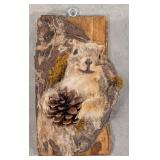 Fox Squirrel in a Tree Half Body Taxidermy Mount