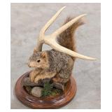 Fox Squirrel Full Body Taxidermy w/ Habitat Base