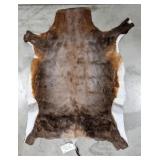 Tanned African Blesbok Antelope Taxidermy Hide