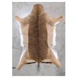 Tanned African Impala Taxidermy Hide