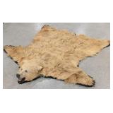 XXXL SUPER RARE Blonde Kodiak Bear Taxidermy Rug b