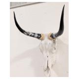 Bleached Longhorn Steer Skull & Horns