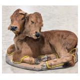 Two Headed Calf Full Body Taxidermy Mount