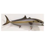 Yellowtail Amberjack Fiberglass Taxidermy Mount