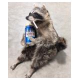 Smokin' Drinkin' Racoon Giving the Bird Full Body