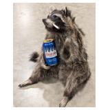Smokin' Drinkin' Racoon Giving the Bird Full Body