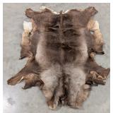 Tanned Alaskan Caribou Hide Taxidermy