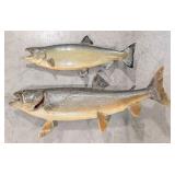 (2) Trout Taxidermy Wall Mounts