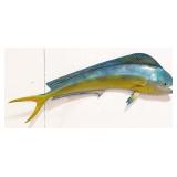 Vtg Real Skin Mahi Mahi Full Body Taxidermy