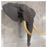 Real Skin African Elephant Shoulder Mount Taxiderm