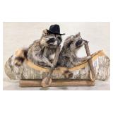 Pair of Racoons in a Birch Wood Canoe Taxidermy Mo