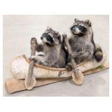 Pair of Racoons in a Birch Bark Canoe Taxidermy Mo