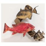 Spade Fish, Trigger Fish, & Red Snapper Taxidermy