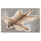 Cougar Mountain Lion Pelt Rug Taxidermy