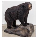 Black Bear Full Body Taxidermy Mount on a Rolling