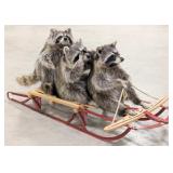 3 Sledding Full Body Racoons Taxidermy Mount