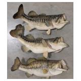 (3) Largemouth Bass Taxidermy Mounts