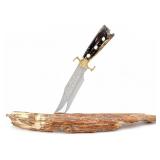 Tiny Spencer Robert Valade Engraved Fossilized Mam