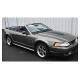 2001 Ford Mustang Cobra Convertible