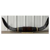 3ï¿½4ï¿½ Mounted Longhorn Horns