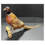 18" Male Ring Necked Pheasant Mount