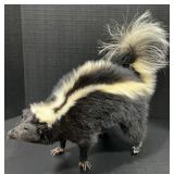 Skunk Full Body Mount