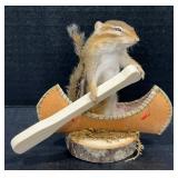 Chipmunk in a Canoe Full Body Mount Taxidermy
