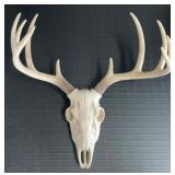 Replica 10-Point Buck Deer Skull Wall Mount