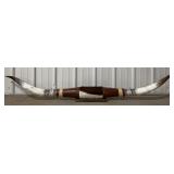 6ï¿½5" Mounted Longhorn Horns