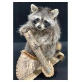 Raccoon in a Birch Bark Canoe Taxidermy