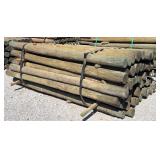 (55) 3-1/2' x 6-1/2' Treated Posts
