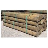 (24) 7' x 8' Treated Posts