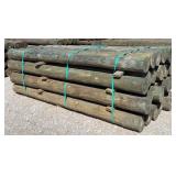 (24) 7' x 8' Treated Posts