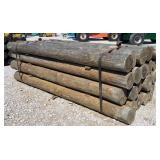 (24) 7' x 8' Treated Posts