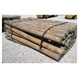 (55) 3-1/2' x 6-1/2' Treated Posts