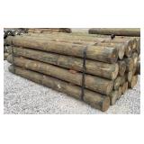 (24) 7' x 8' Treated Posts