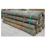 (24) 7' x 8' Treated Posts