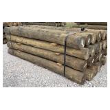 (24) 7' x 8' Treated Posts