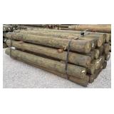 (24) 7' x 8' Treated Posts