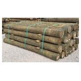 (24) 7' x 8' Treated Posts