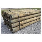 (24) 7' x 8' Treated Posts