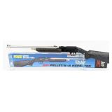 Daisy Christmas Special Model 841 Quick Silver .17