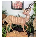 SCI GOLD MEDAL African Lesser Kudu Full Body Rolli
