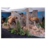 Forest & Rockwall Taxidermy Habitat Rolling Displa