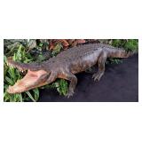 11ft American Alligator Full Body Taxidermy Mount