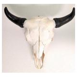 American Bison Skull Taxidermy Mount