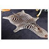 African Zebra Hide Taxidermy Rug w/ Black Carpet B
