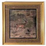 Ltd Impala By Charles Frace Framed Print