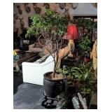 (2) Faux Greenery Trees w/ Black Ceramic Pots & St